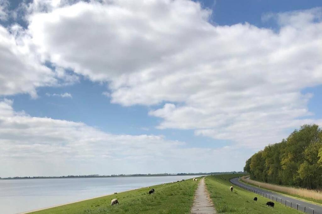 Wilhelms Havenkoje - Gemuetliches Innenstadtappartment 威廉港 外观 照片